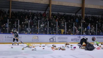 Плюшевий дощ на льоду: незвична акція перервала матч київської хокейної команди