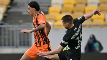 «‎За напругою, перипетіями на полі, інтригою – гра вдалася»: ексворотар Динамо – про матч Шахтар – Полісся